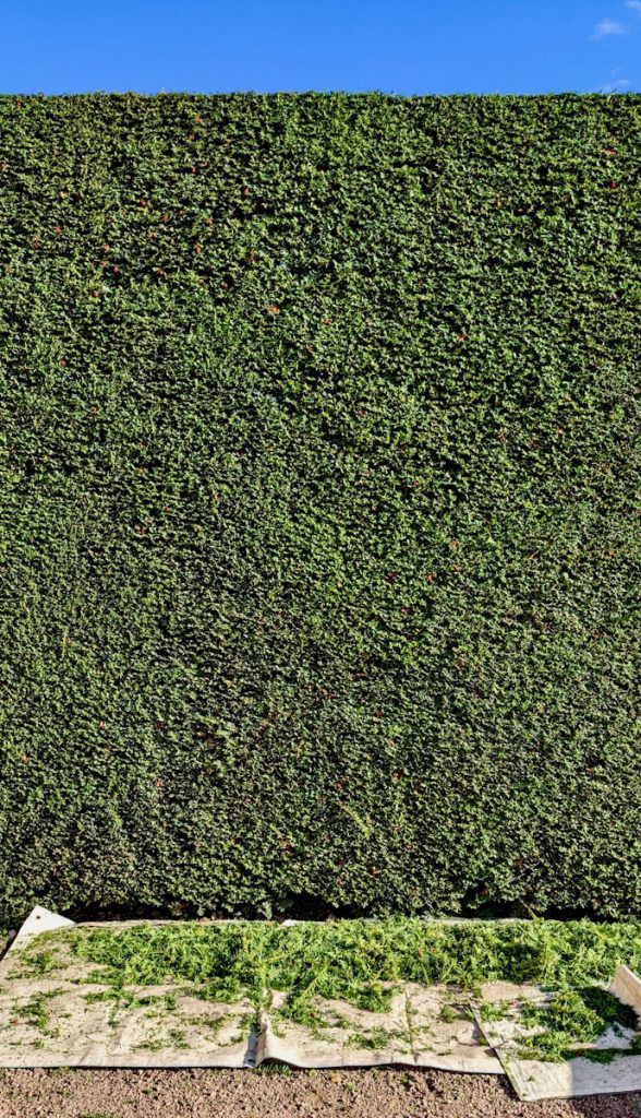 background pattern